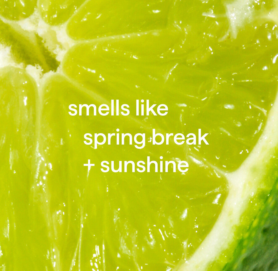 salviette detergenti multiuso