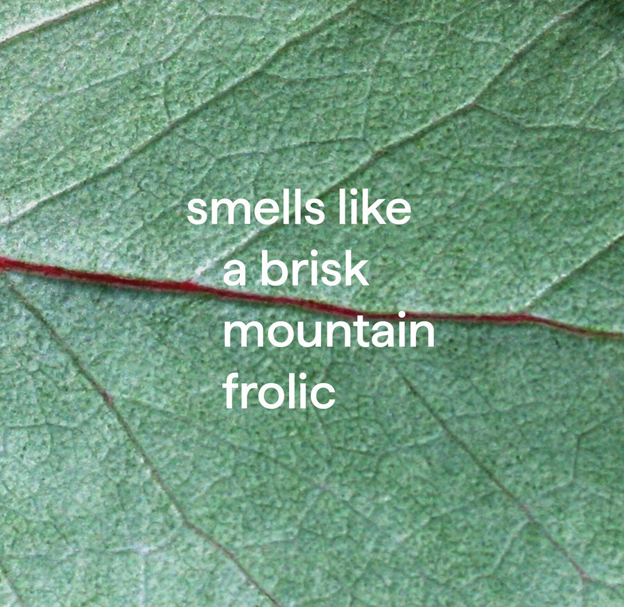 ricarica quotidiana dello spray doccia