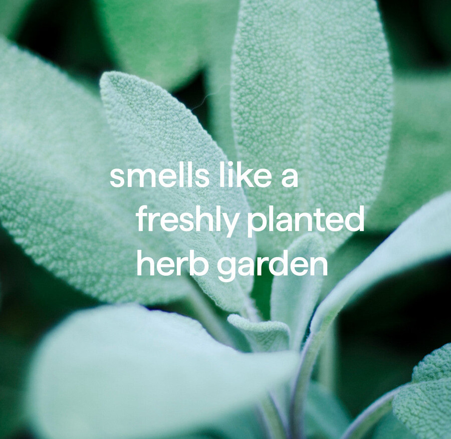 detergente per pavimenti duri a spruzzo e mocio