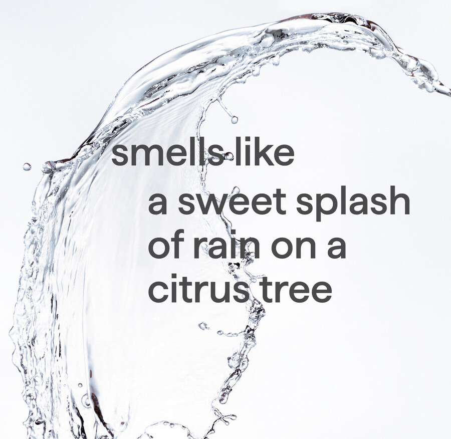 sapone schiumogeno per le mani