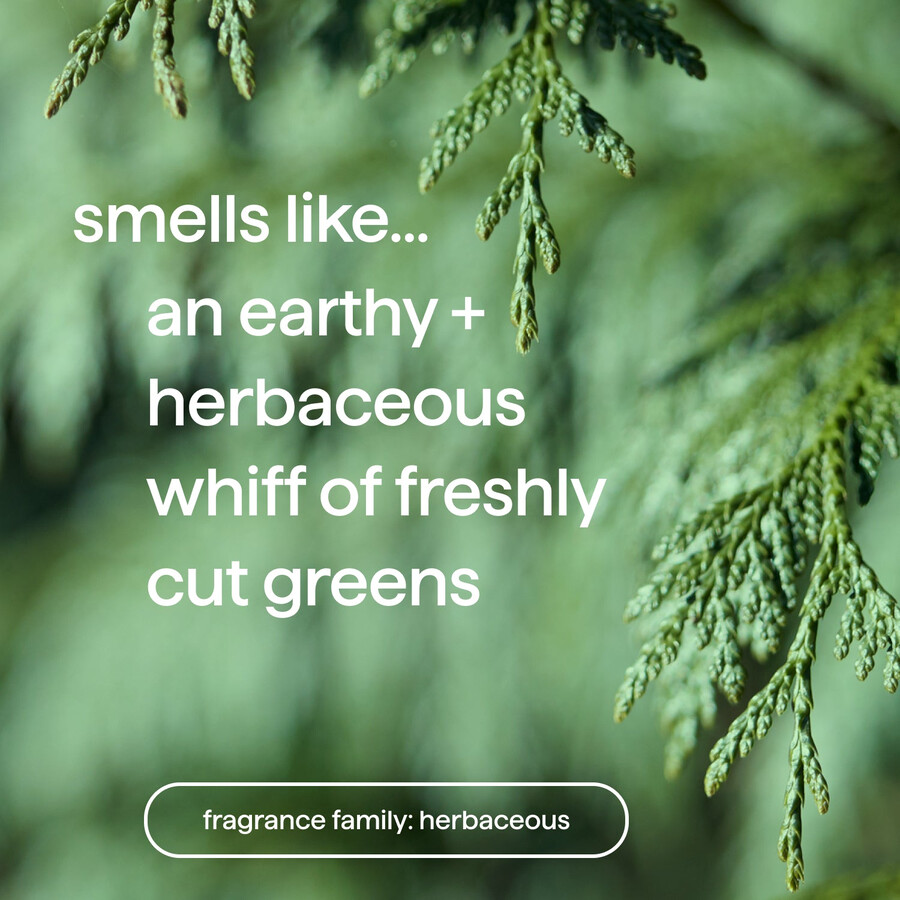 trio di bagnoschiuma per uomo 84 oz.