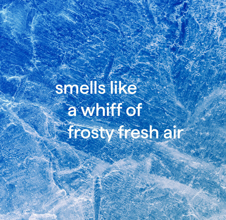 duo antibatterico per la pulizia del bagno