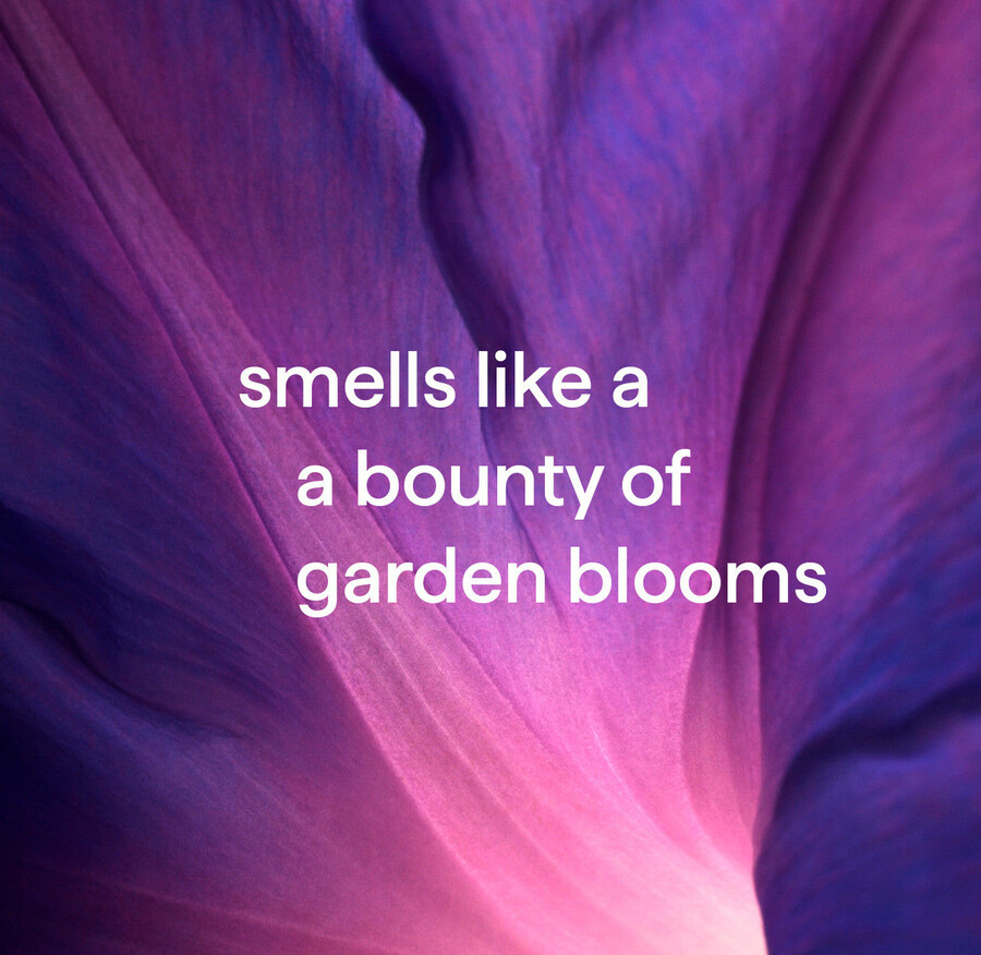 ricarica di sapone schiumogeno per le mani