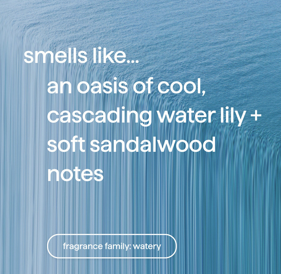 ricarica di sapone schiumogeno per le mani